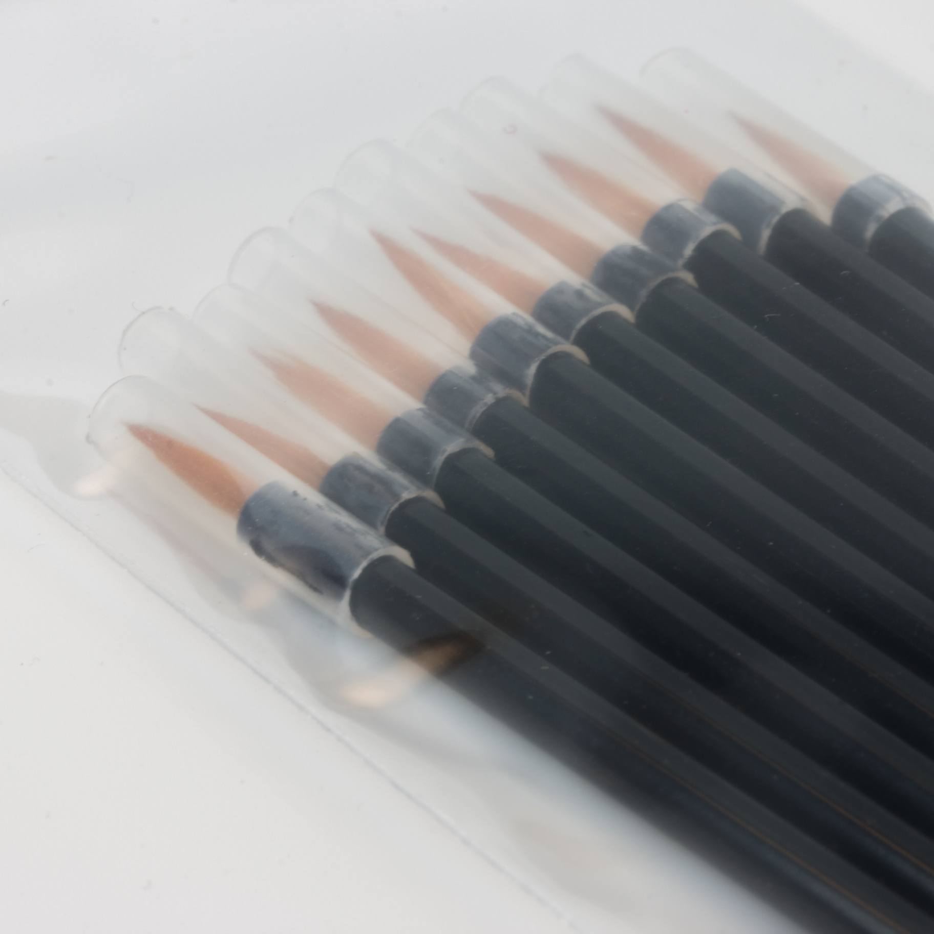 Disposable Applicators Fine Liner Brush (pack of 10)