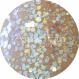Rainbow Opal Plant-Based Compostable Glitter Blend
