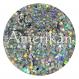 Holographic Silver Chunky Glitter (0.040